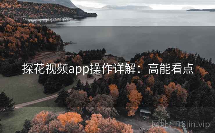 探花视频app操作详解：高能看点
