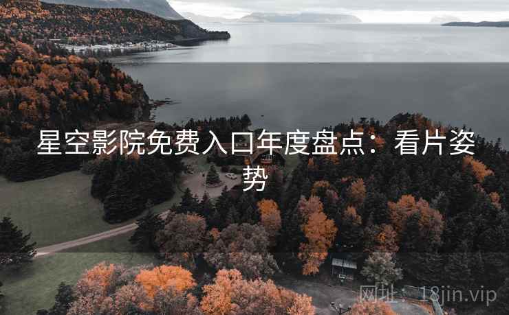 星空影院免费入口年度盘点：看片姿势